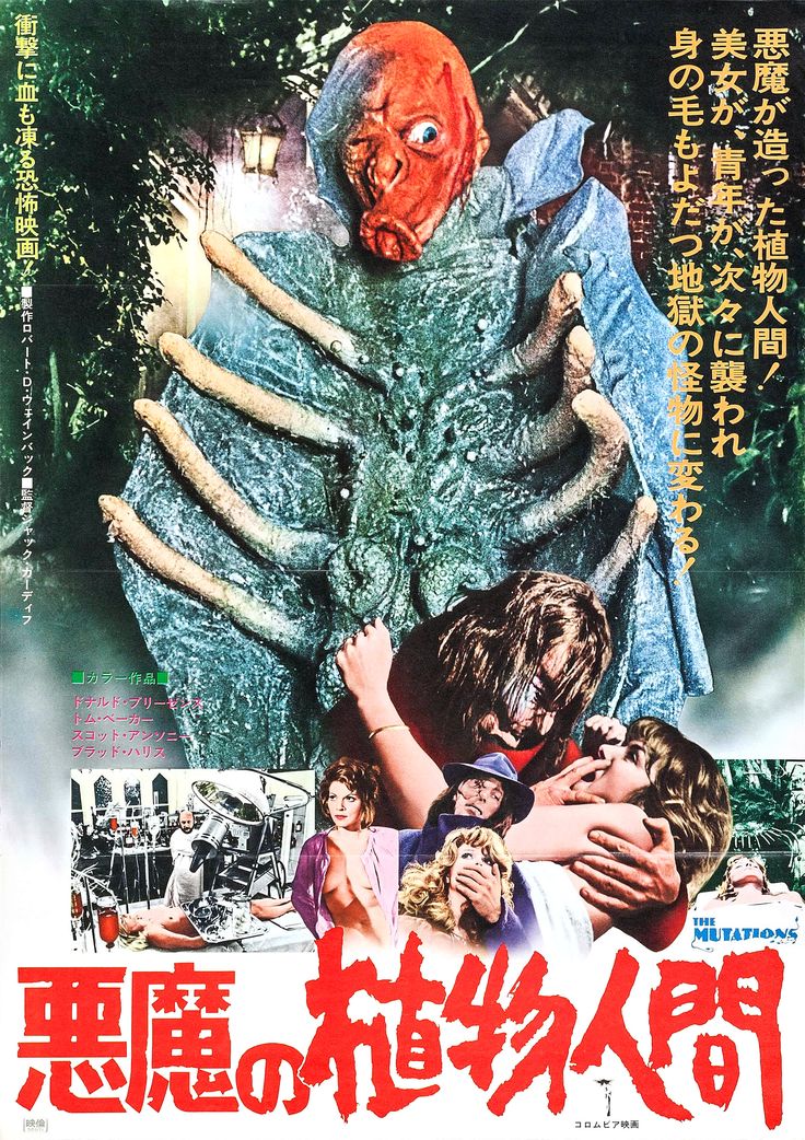 テレビの洋画劇場で観たマイナー映画挙げてけ のタグを見ていたら懐かしくなったので纏めてみました。 Togetter