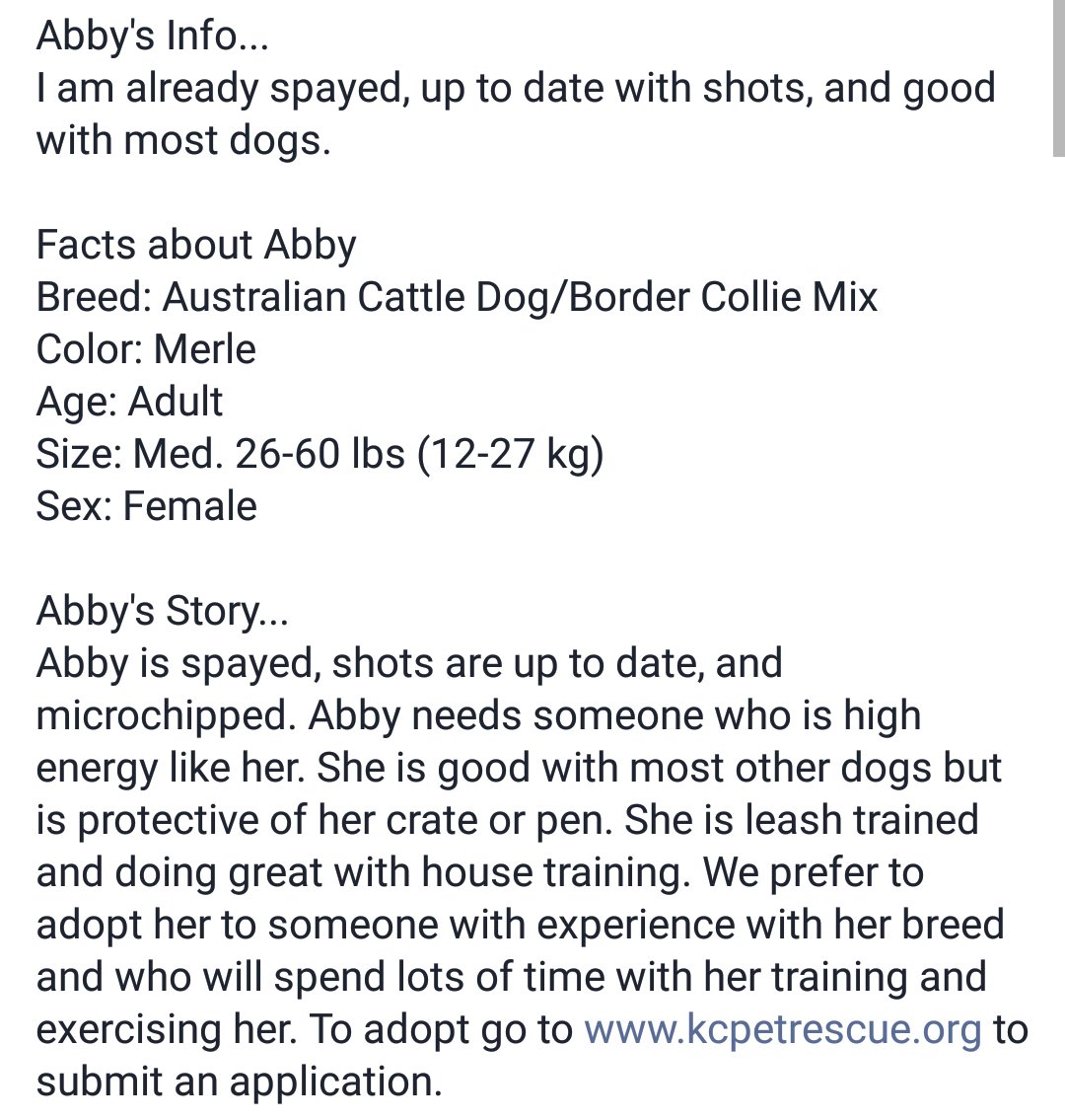 KC PET RESCUE (KCpetrescue) Twitter