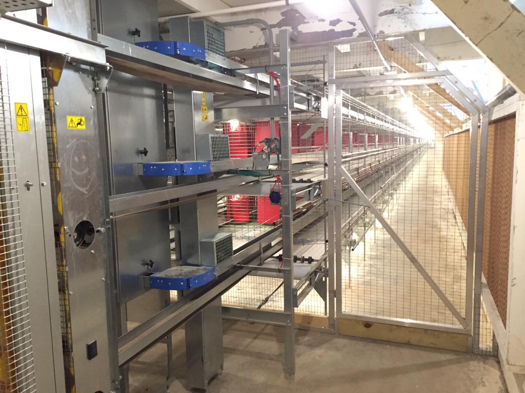 Strand Ag Supply (StrandAgSupply) Twitter