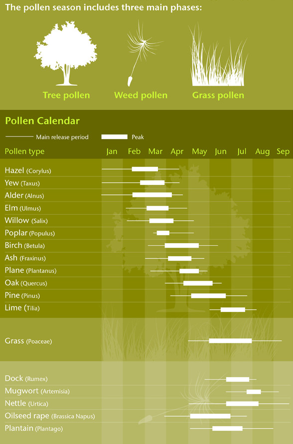 There are around 30 different types of pollen that cause hayfever and