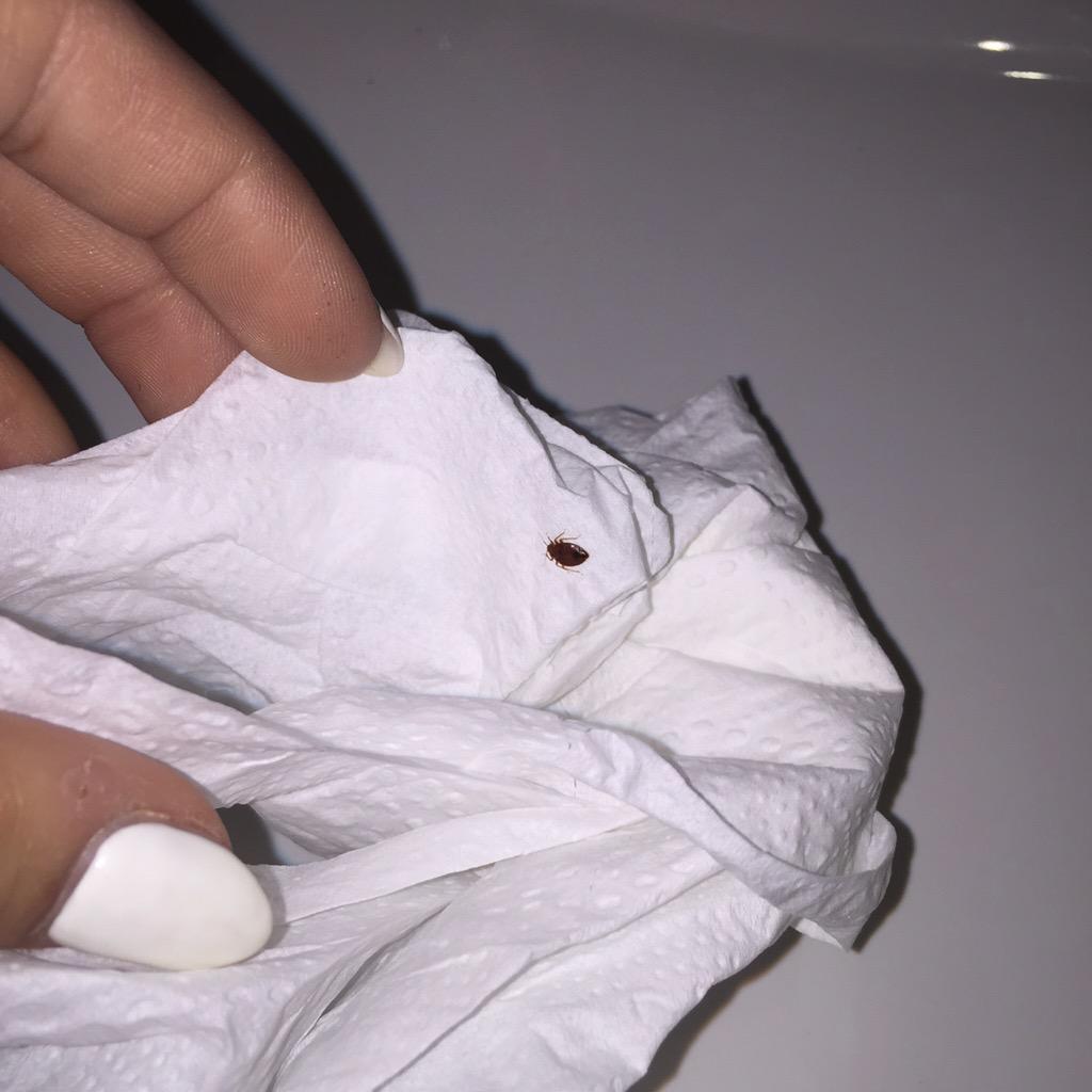 Mia Stammer on Twitter "Housekeeping stole Alex's money PLUS our hotel
