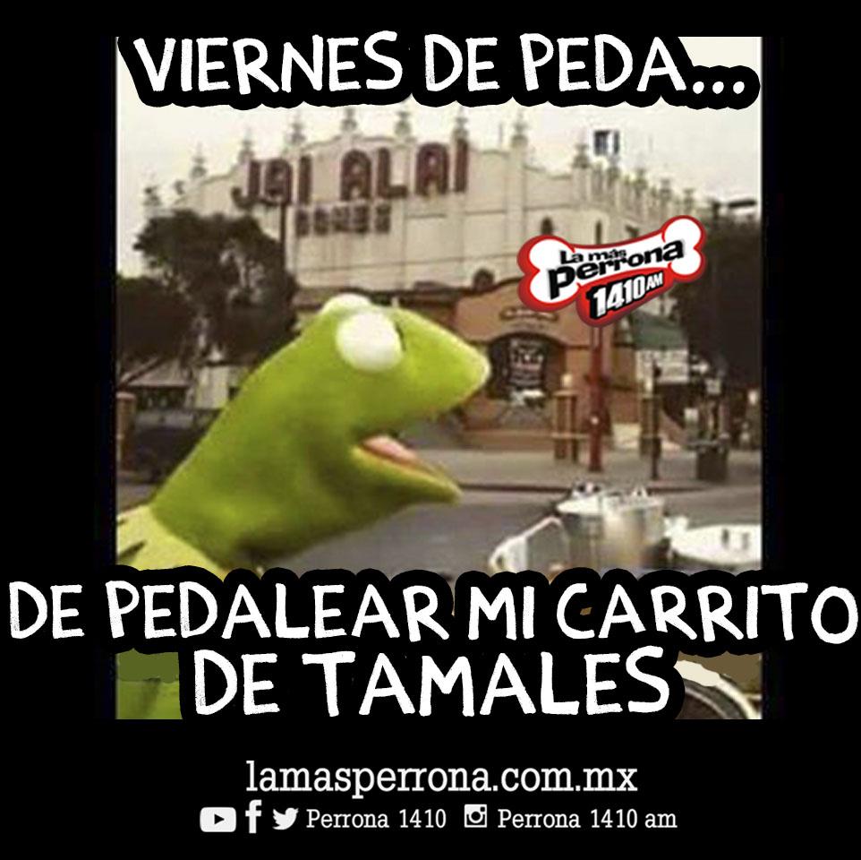 Download Kumpulan 64 Meme Es Viernes De Peda Terbaik Dan Terupdate