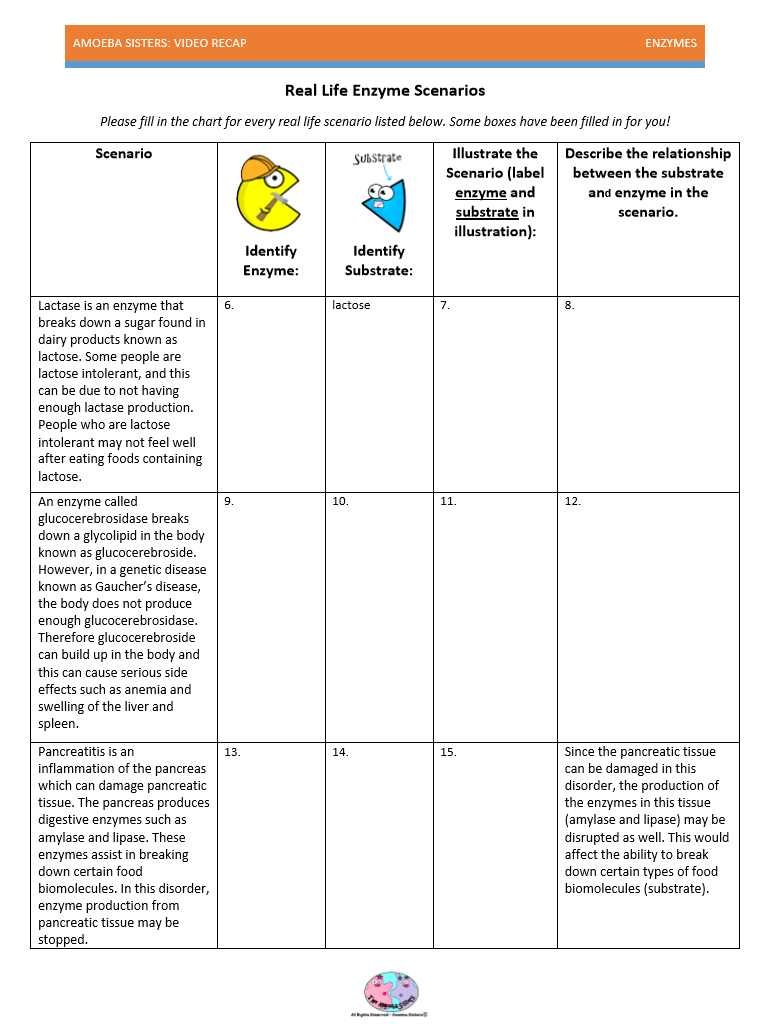 Amoeba Sisters Enzyme Worksheet Answers | TUTORE.ORG - Master of Documents