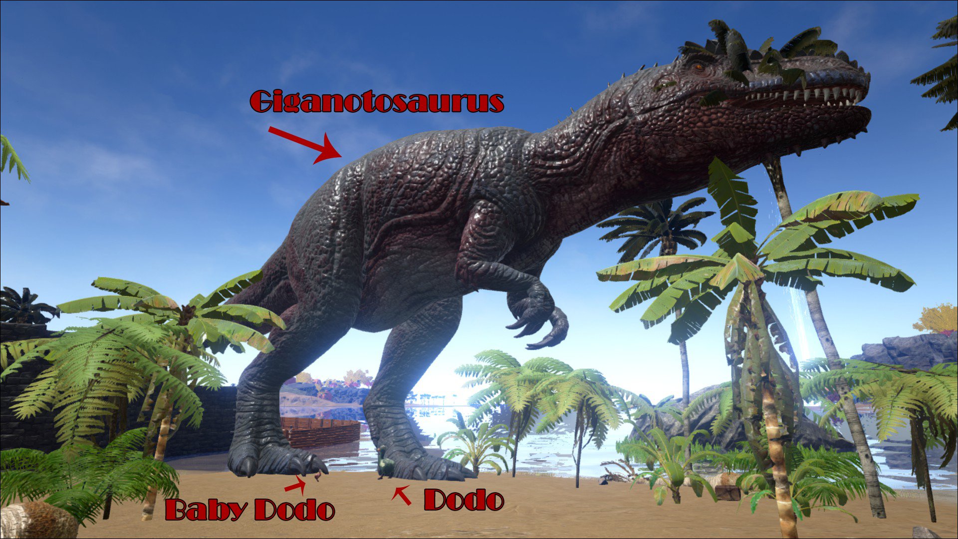 GP on Twitter Size Comparison of the Giganotosaurus. Dodo and Baby Dodo! ARK playARK https