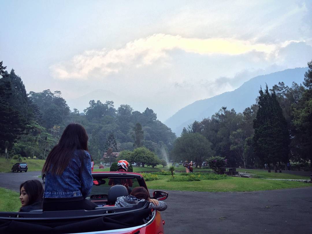 29+ Hits Gambar Pemandangan Pagi Yg Cerah Pemandangan