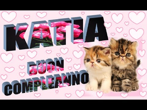 Massimiliano S On Twitter Biascokatia Buongiorno Katia Tantissimi Auguri Di Buon Compleanno Https T Co Bpkmg6eb4d