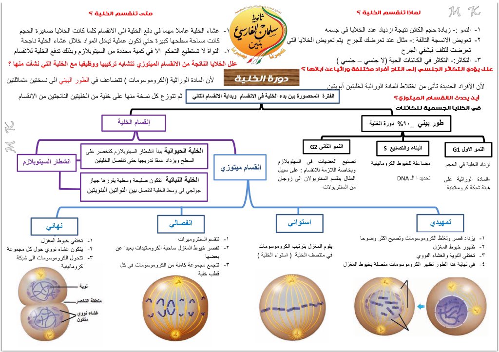 مخطط الانقسام الميتوزي ومخطط التشوهات الكروموسومية ومخطط