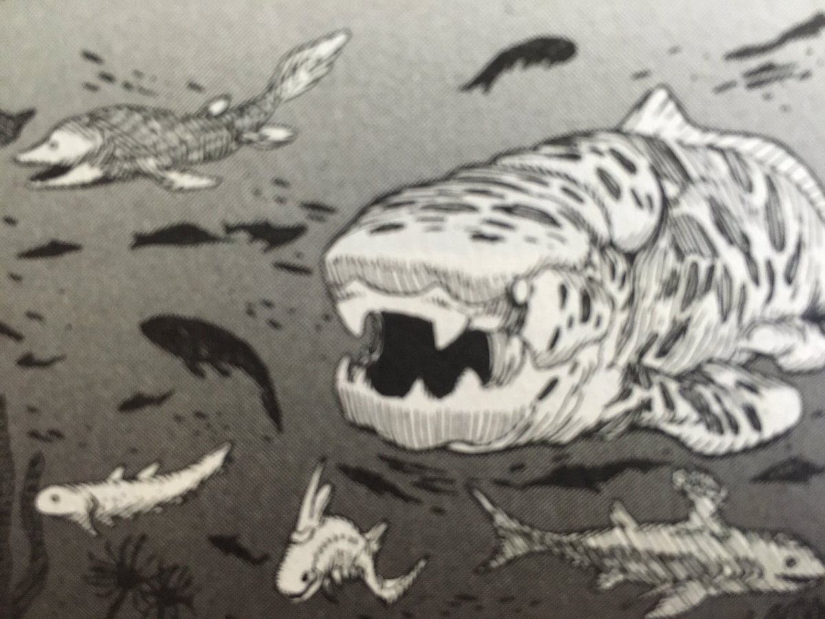 25 ++ リゾドゥス 159055リゾドゥス 釣れない