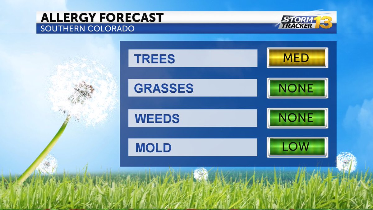 Mold is appearing on your pollen count today! KRDO NewsRadio Scoopnest