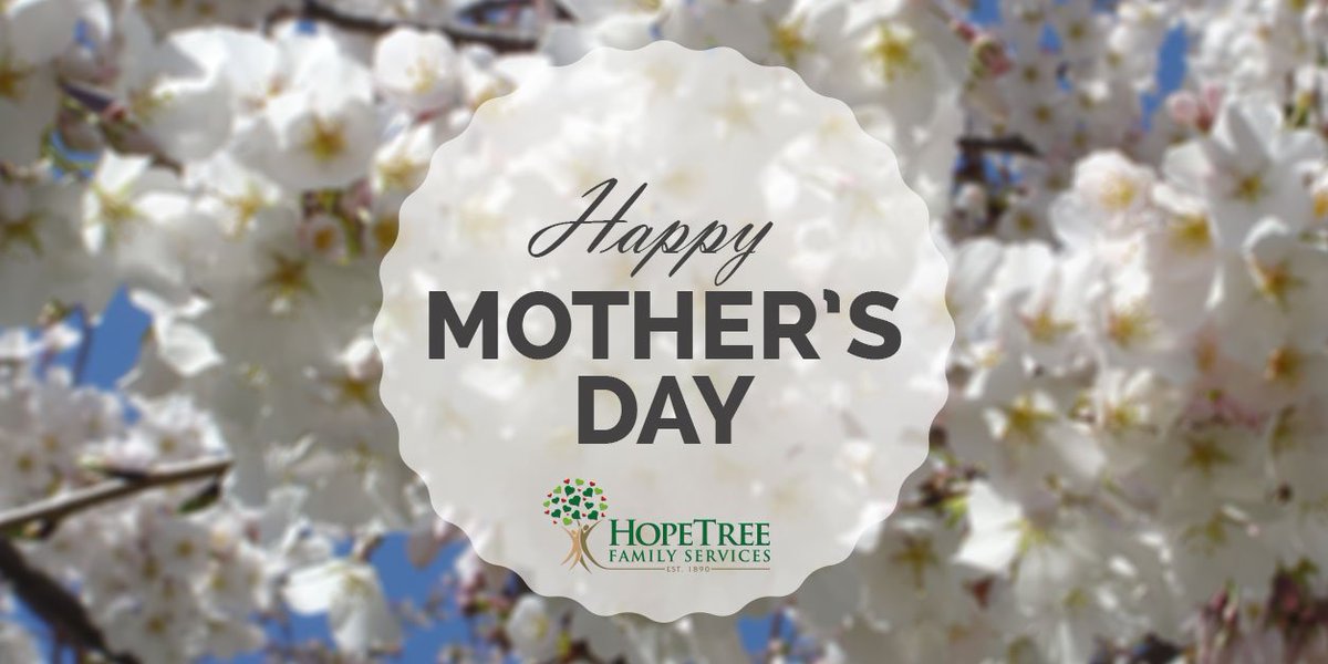 Hopetree Family Services Chester All information about
