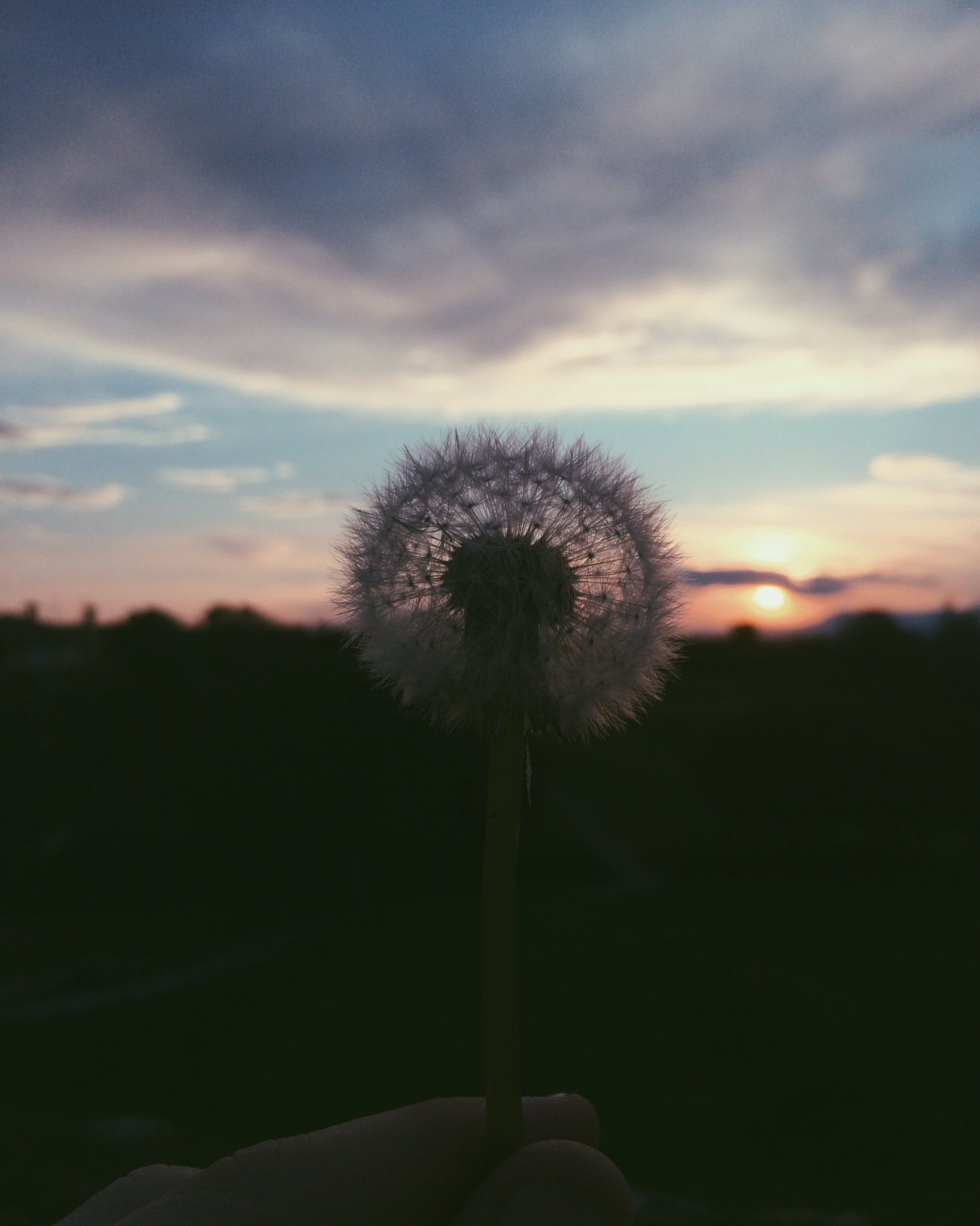 Alex Stone on Twitter "Un momento…