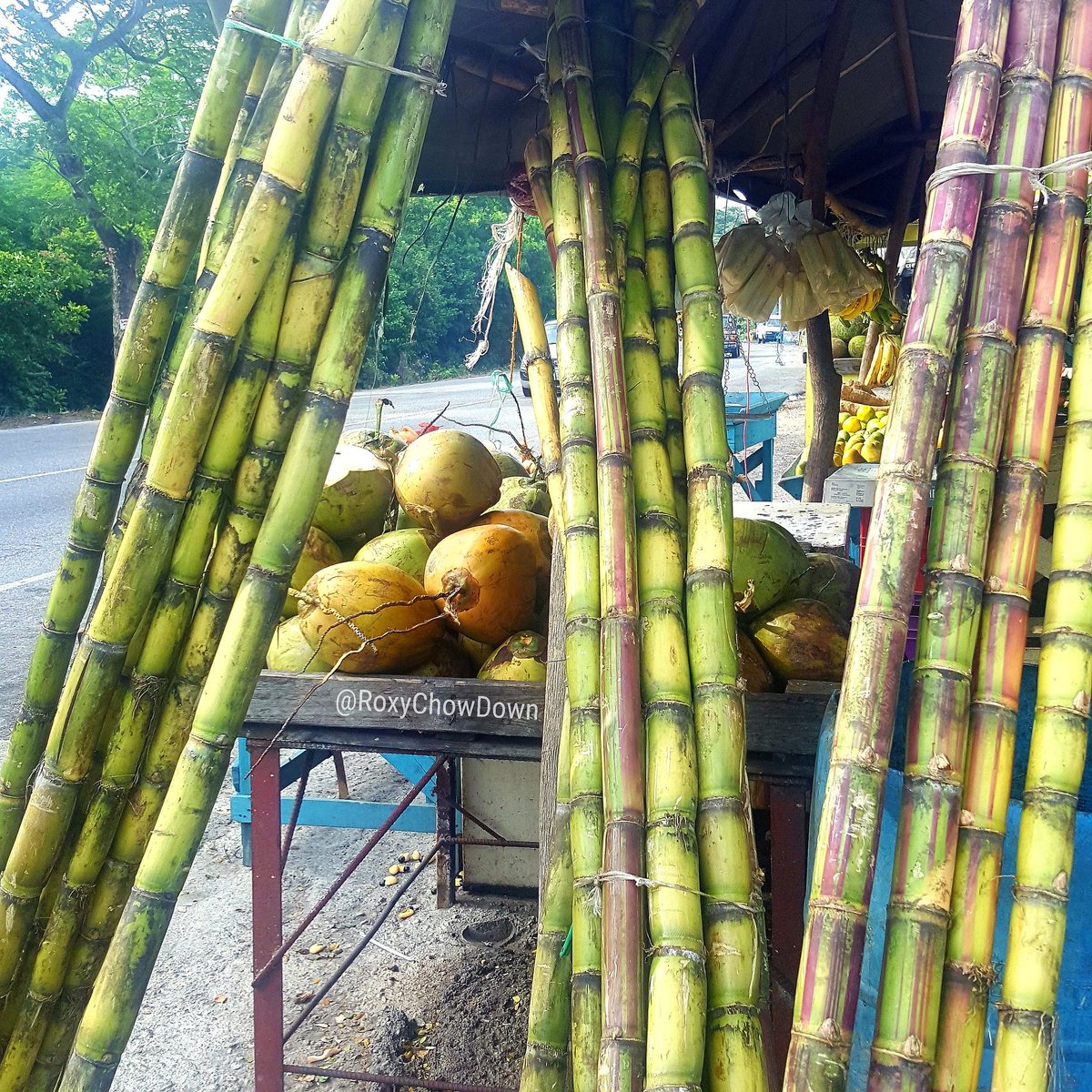 RoxyChowDown on Twitter "This is Jamaica! Sweet like sugarcane, jelly