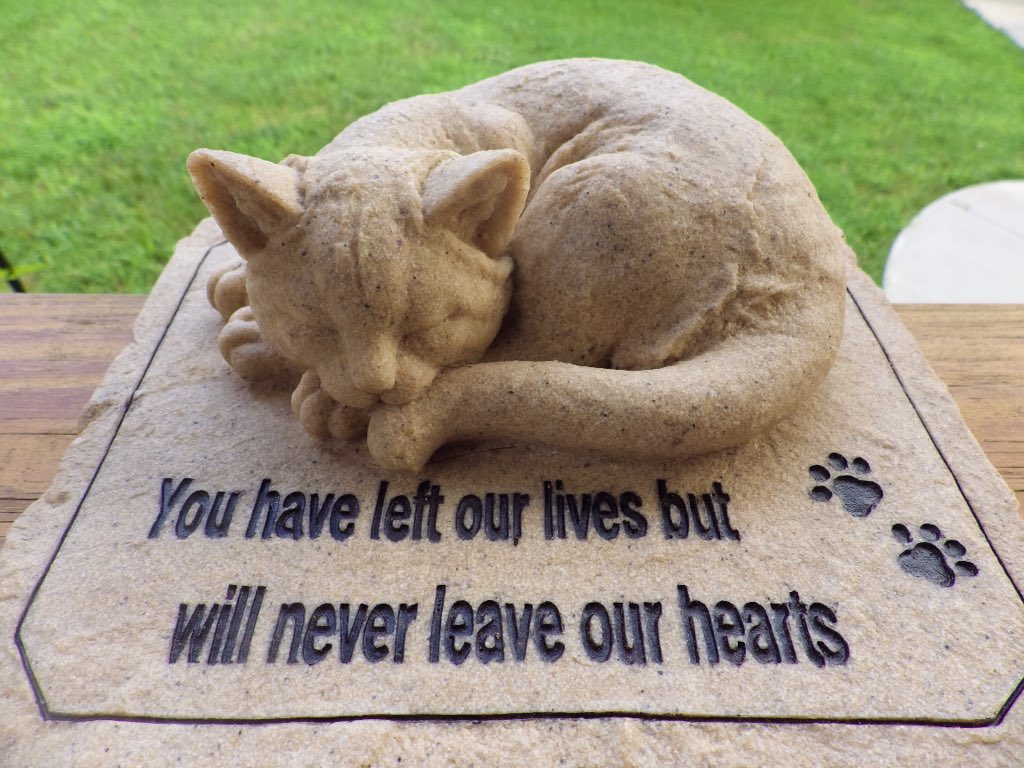 Morito Suzuki on Twitter "For my cat in heaven cat petheaven…