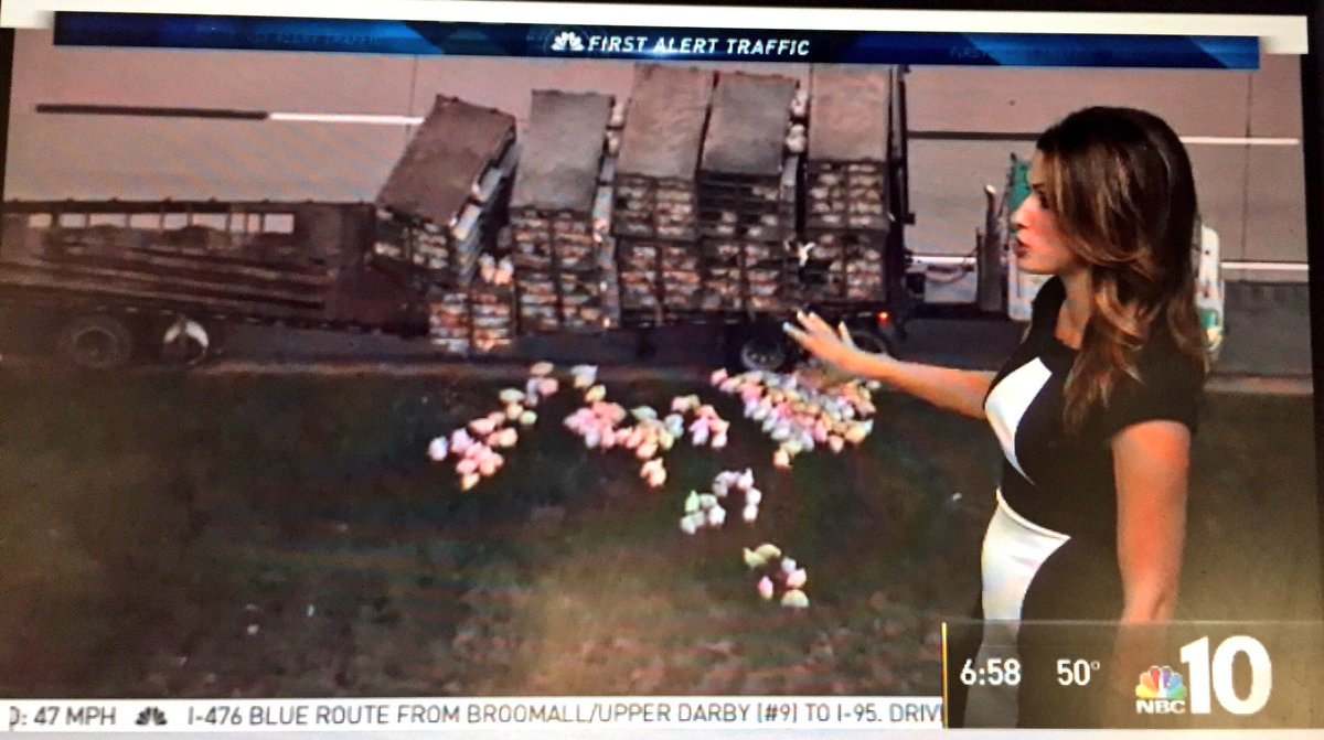 Rosemary Connors (RosemaryConnors) Twitter