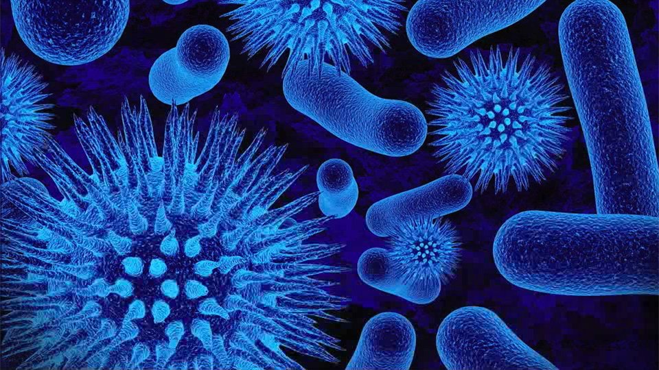 MICROBIOLOGIAAEAC agosto 2017