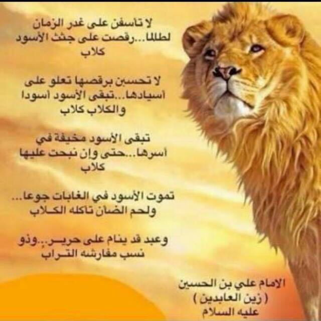 لا تأسفن على غدر الزمان غلاف