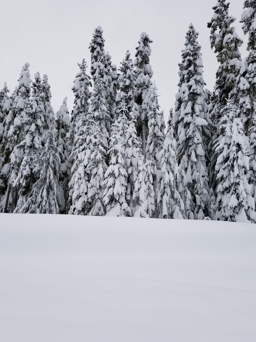 Abbotsford Weather 7 Day Forecast