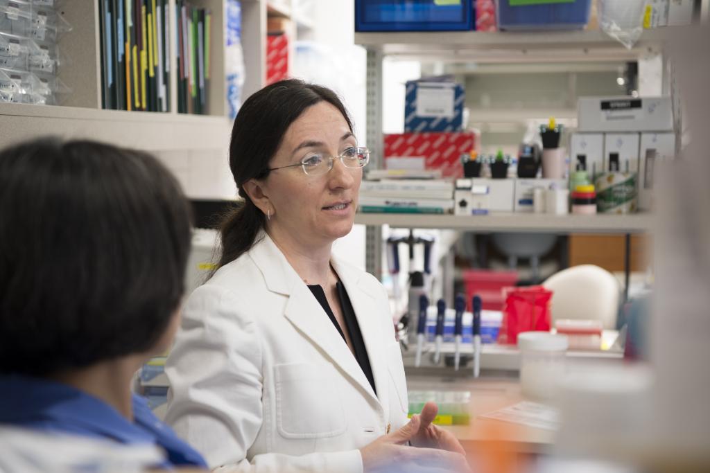 Mayo Clinic on Twitter "Alzheimer's disease affects 5.7 million