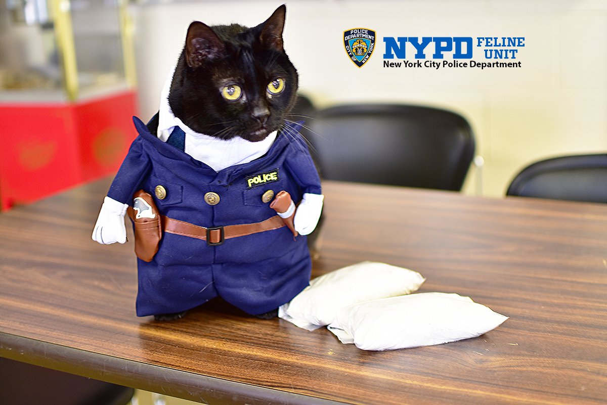 Viviana Pulgarin (Viv9443) Twitter