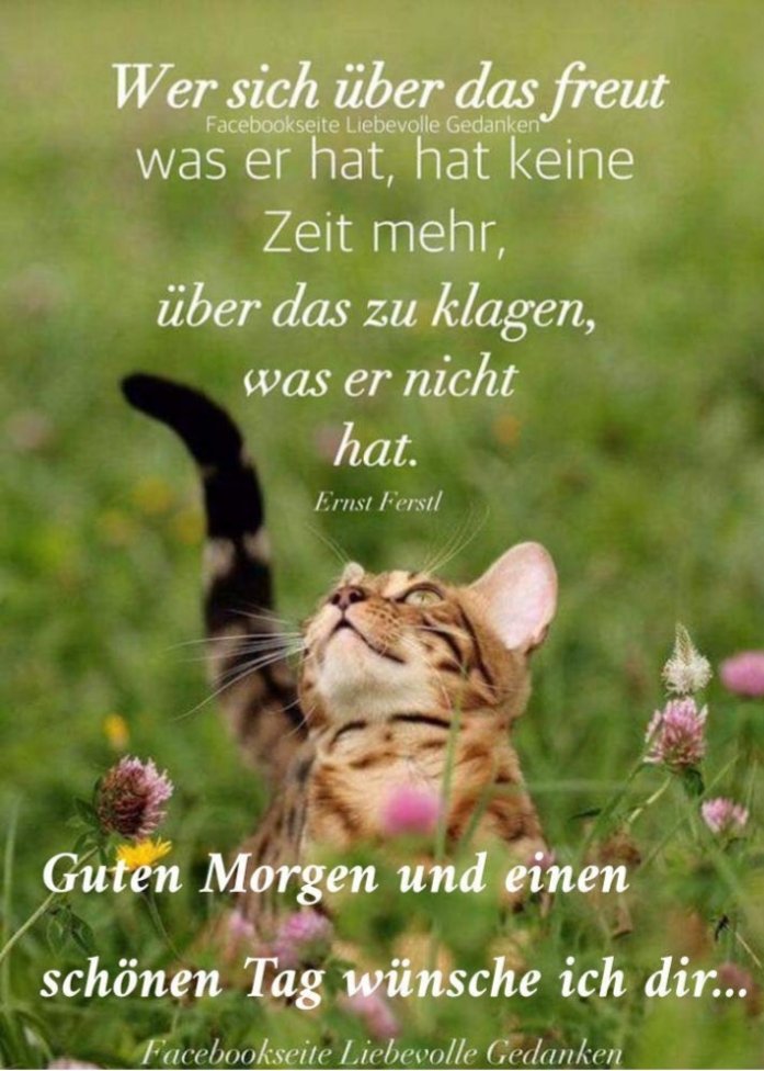 تويتر \ G'scheit Guat على تويتر: "Freue Dich Über Den Heutigen Tag, Über Die Kleinen Dinge Die Du Erleben Darfst, Werde Dir Bewusst, Was Du Alles Tun Kannst Und Spüren Darfst! Jammere 976_x_697_jpg