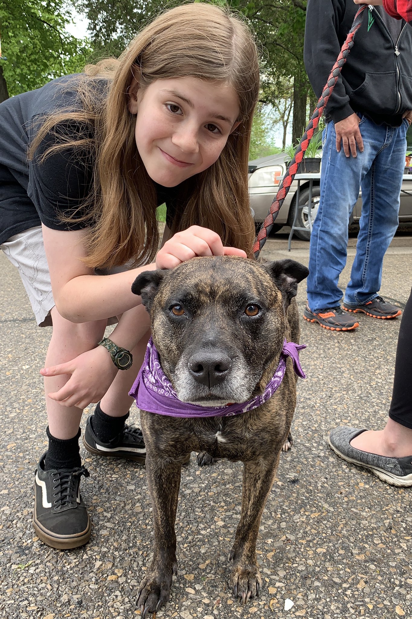 Are Pitbulls Allowed In Military Housing