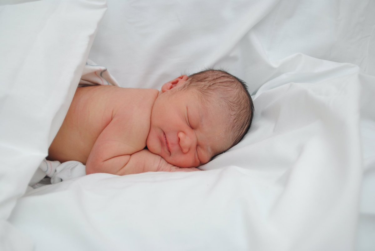 Top 34+ imagen logan anthony lee jackson Thptnganamst.edu.vn