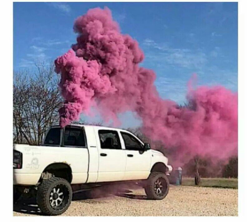 Cape Shore Memes on Twitter "When the wife wants a gender reveal party
