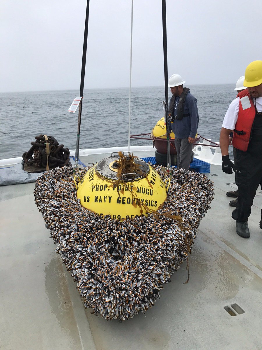 NOAA ocean and weather monitoring buoys on the dock at Coast Guard