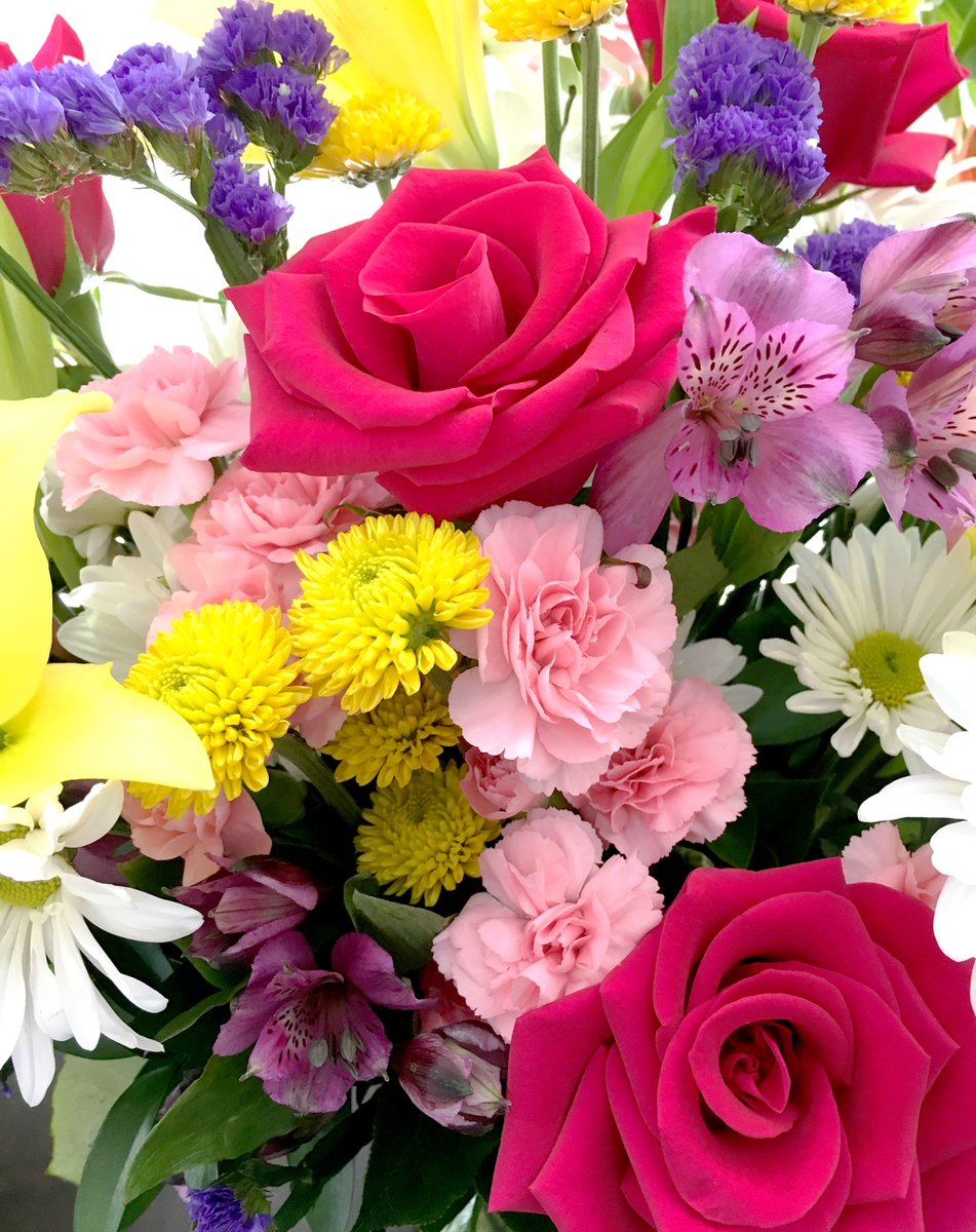 Blooms Today (BloomsToday) Twitter