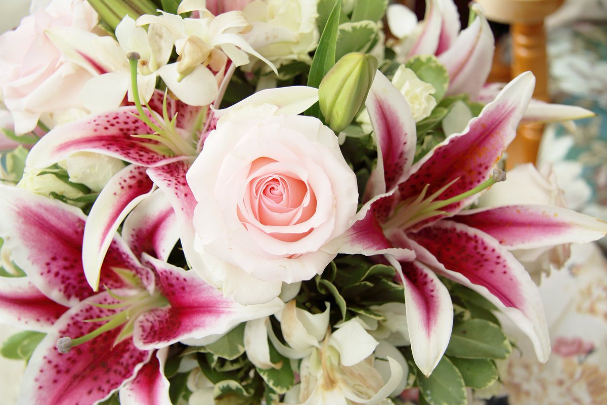 Blooms Today (BloomsToday) Twitter