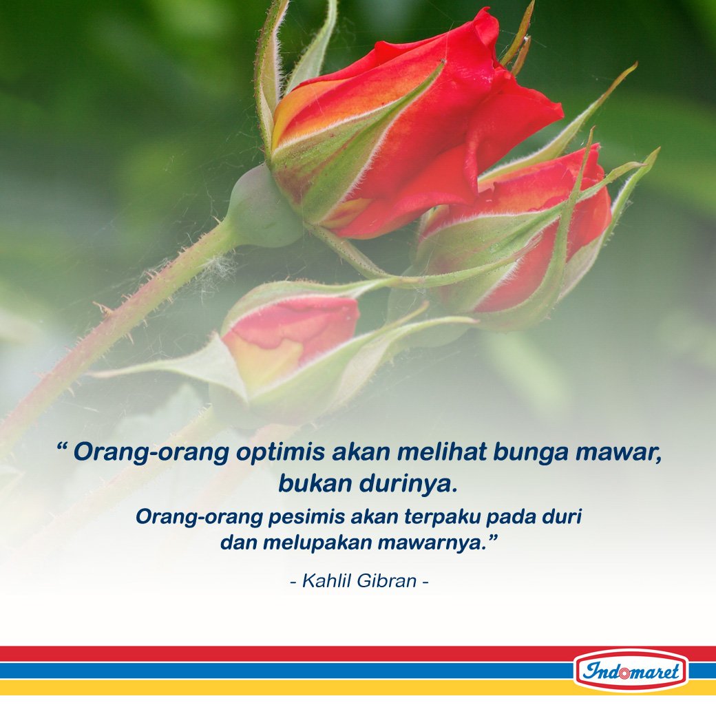 Wow 13+ Gambar Bunga Mawar Selamat Pagi Gambar Bunga HD