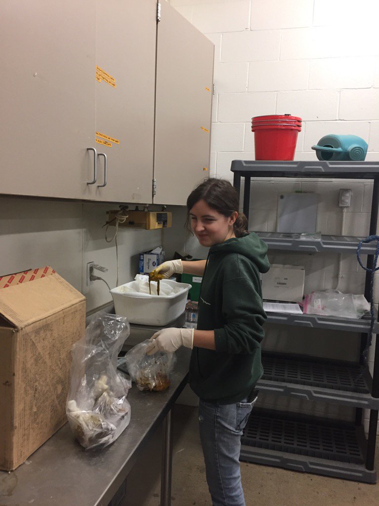 Brad Reiners, ABC (IowaReino) Twitter