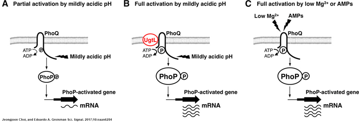 Science Signaling (scisignal) Twitter