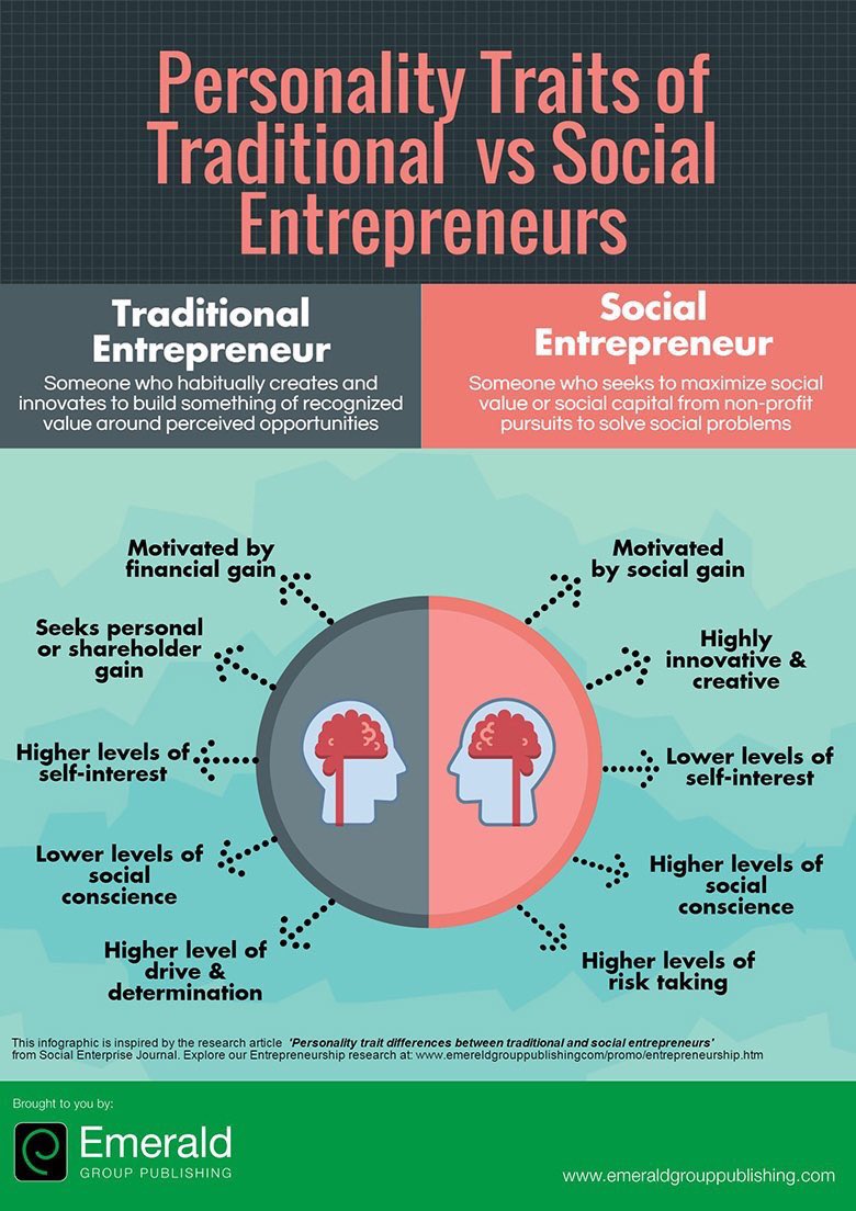 Distinctions Between Traditional And Social Entrepreneurs Youth