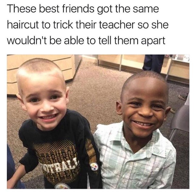 Wholesome Memes on Twitter "WholesomeMeme Memes…