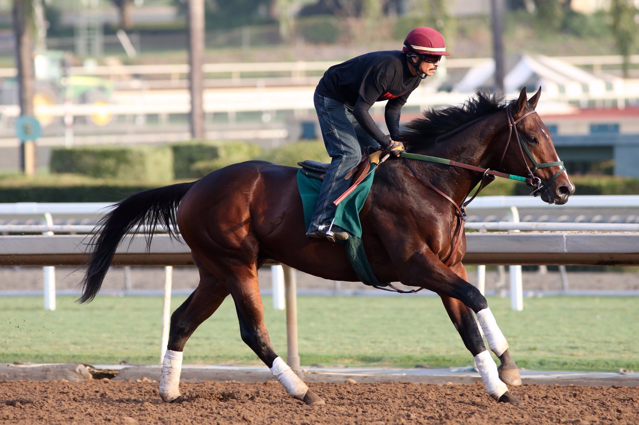 Clockers' Corner on Twitter "BOLT D'ORO on track today santaanitapark…