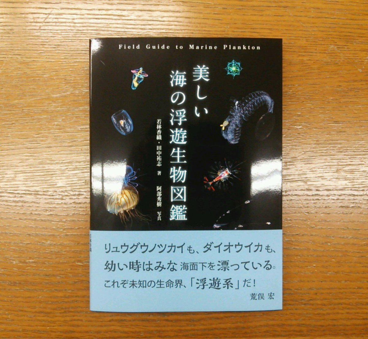 楽天ブックス: Ocean Life 図鑑 海の生物 - スミソニアン協会 - 9784487814336 : 本 ジュンク堂書店 名古屋店 A Twitter: "【理工書】 海の浮遊生物（プランクトン）250種以上を掲載した世界初の生態写真図鑑 、若林香織・田中祐志著『美しい海の浮遊生物図鑑』（文一総合出版）発売です！オールカラーで美しい生態写真多数、観察の仕方や撮影ポイントも収録 ...