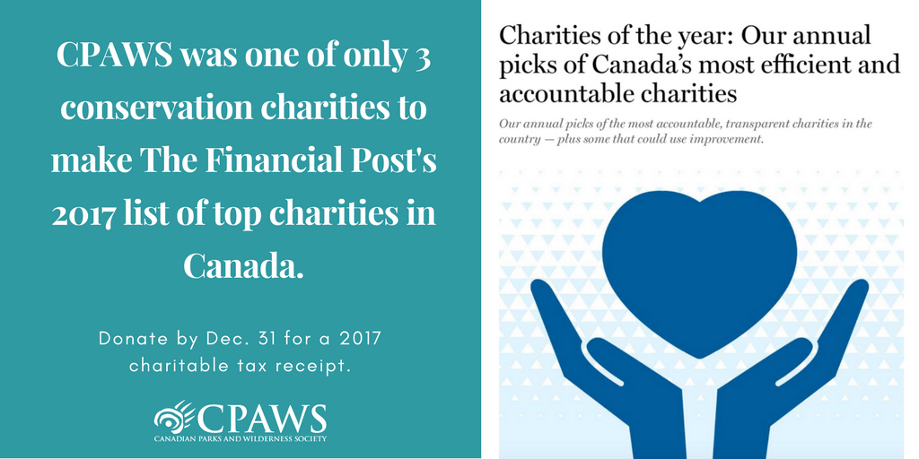 Best Charities To Donate To Canada Heaven Charities