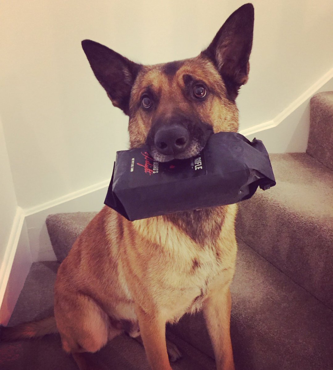 Pin on Dogs of Black Rifle Coffee
