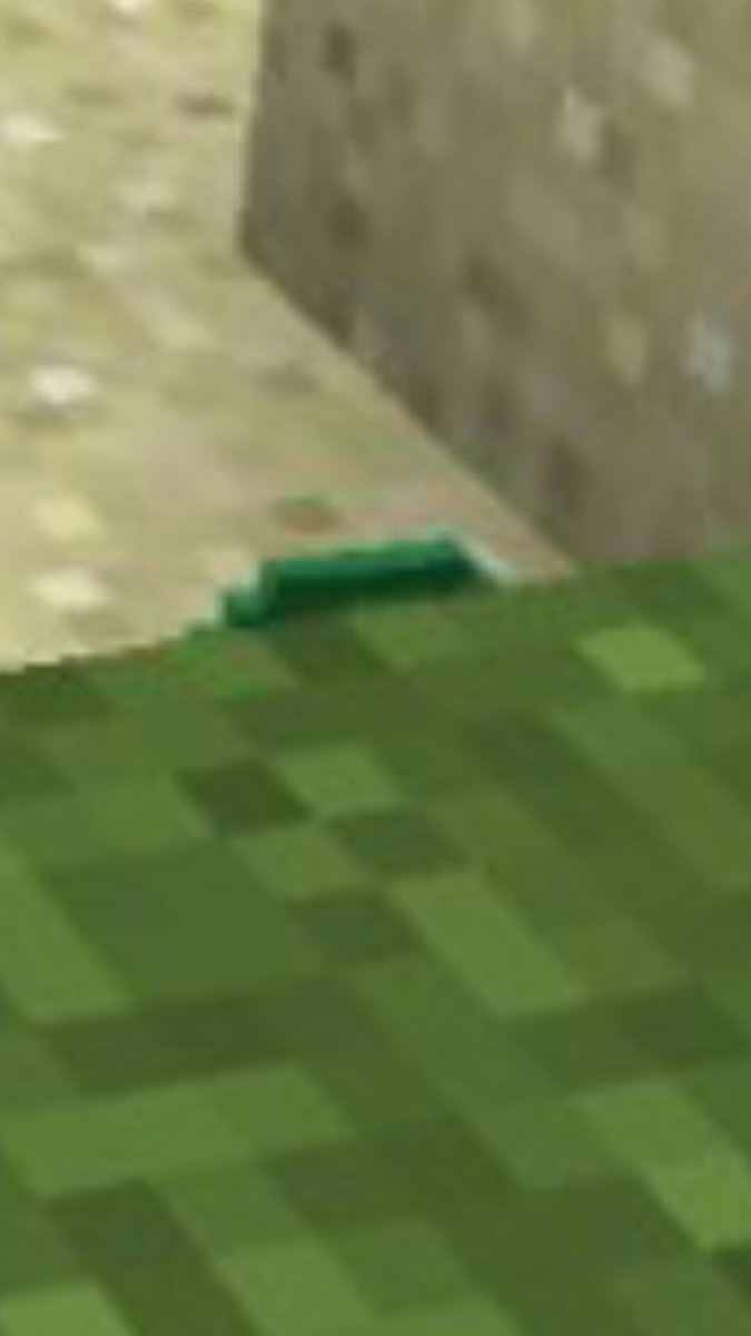 Another pic of Turtle Eggs for 1.13 (Update Aquatic