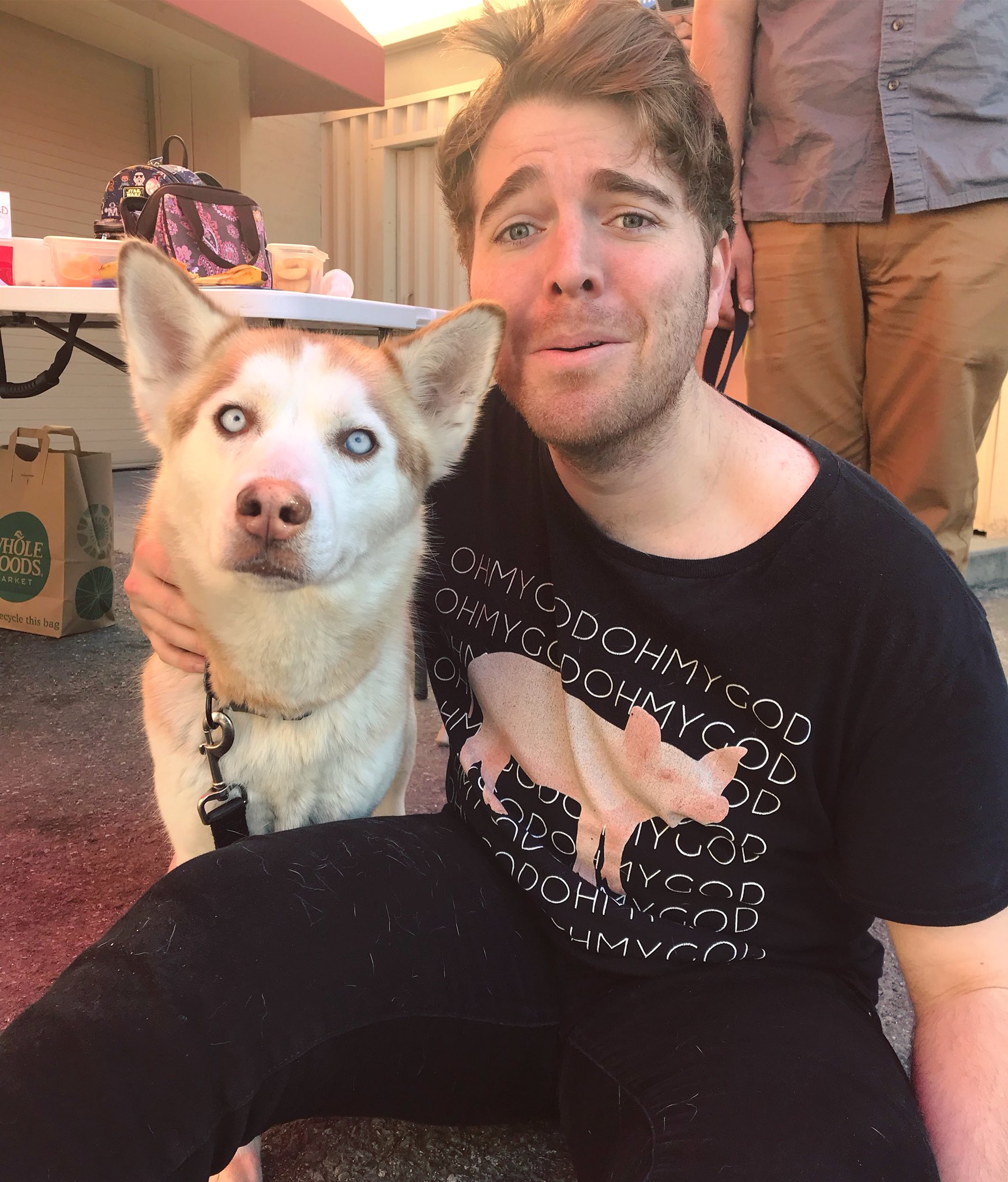 Shane Dawson on Twitter "uh oh.... 😭…