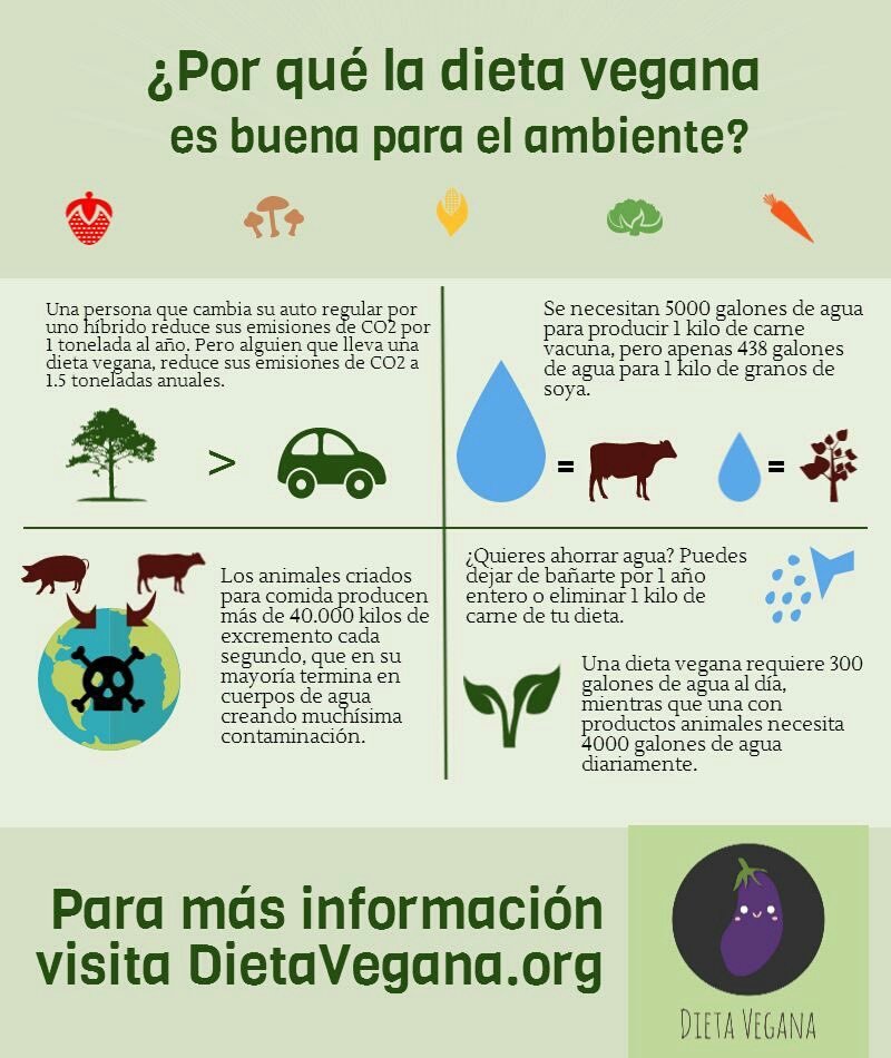 ¿POR QUÉ SER VEGANO? Veganismo