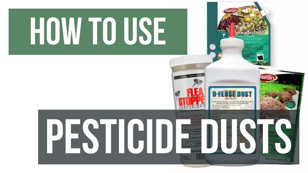 DIY Pest Control Solutions Pest & Lawn