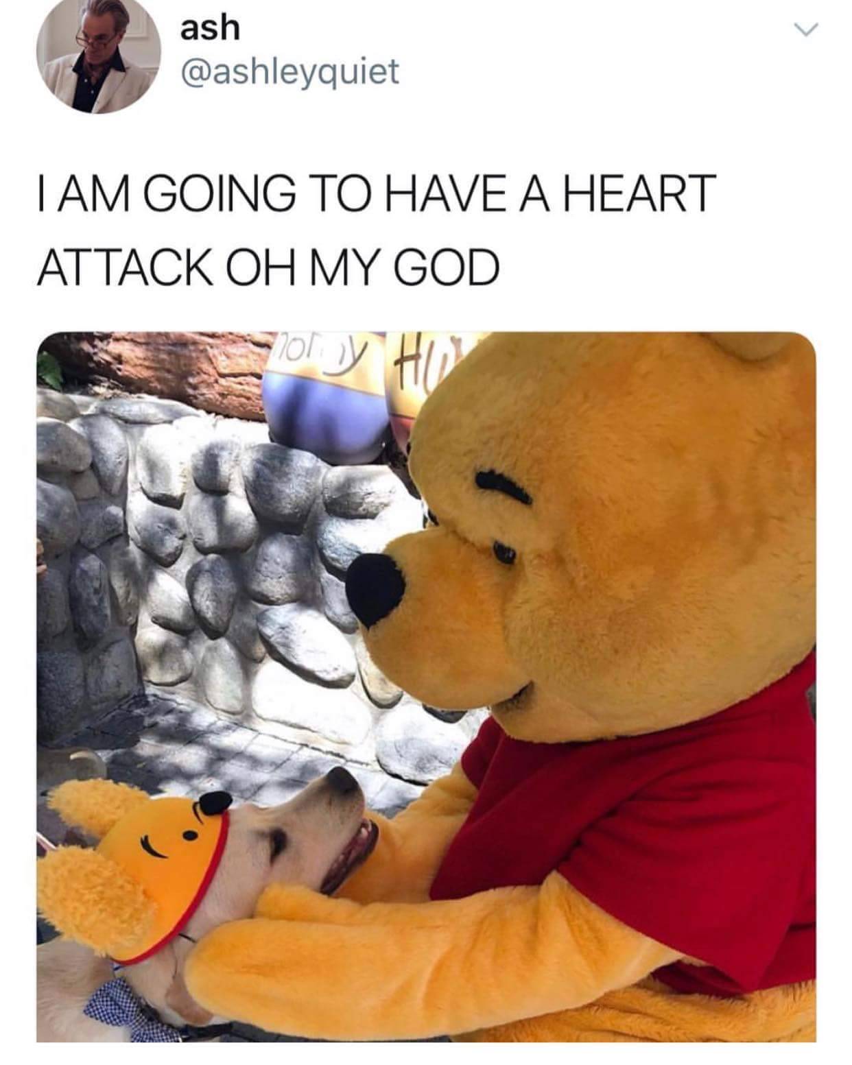 Wholesome Memes on Twitter "Credit ashleyquiet…