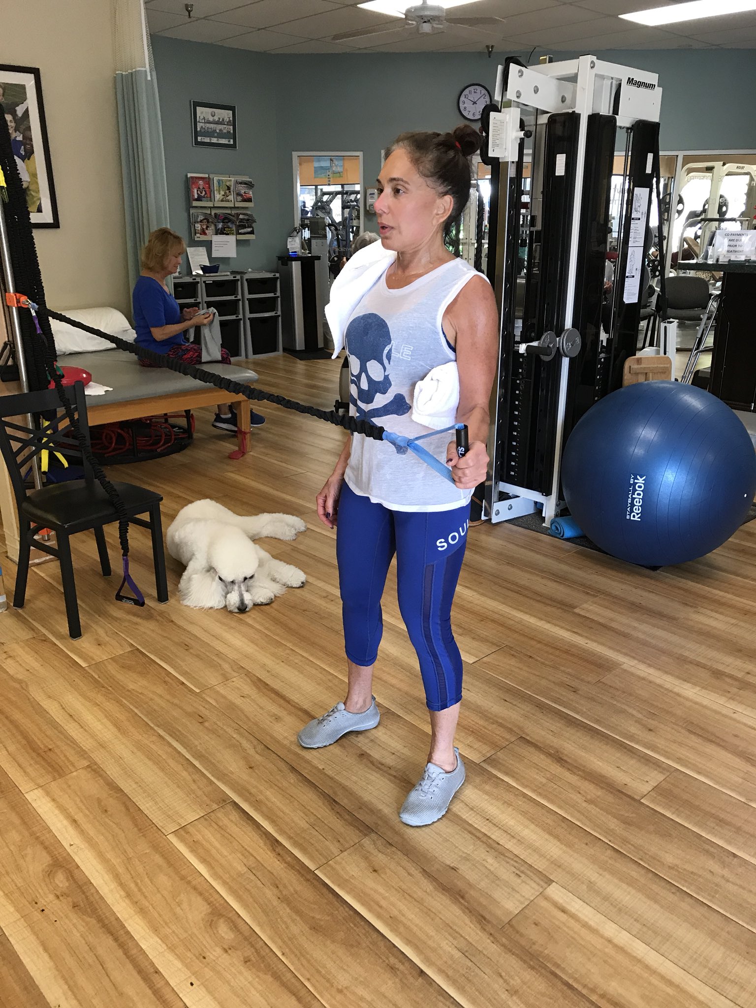 Jeanine Pirro on Twitter "Sir lancelot is the mascot at physical therapy in Boca…