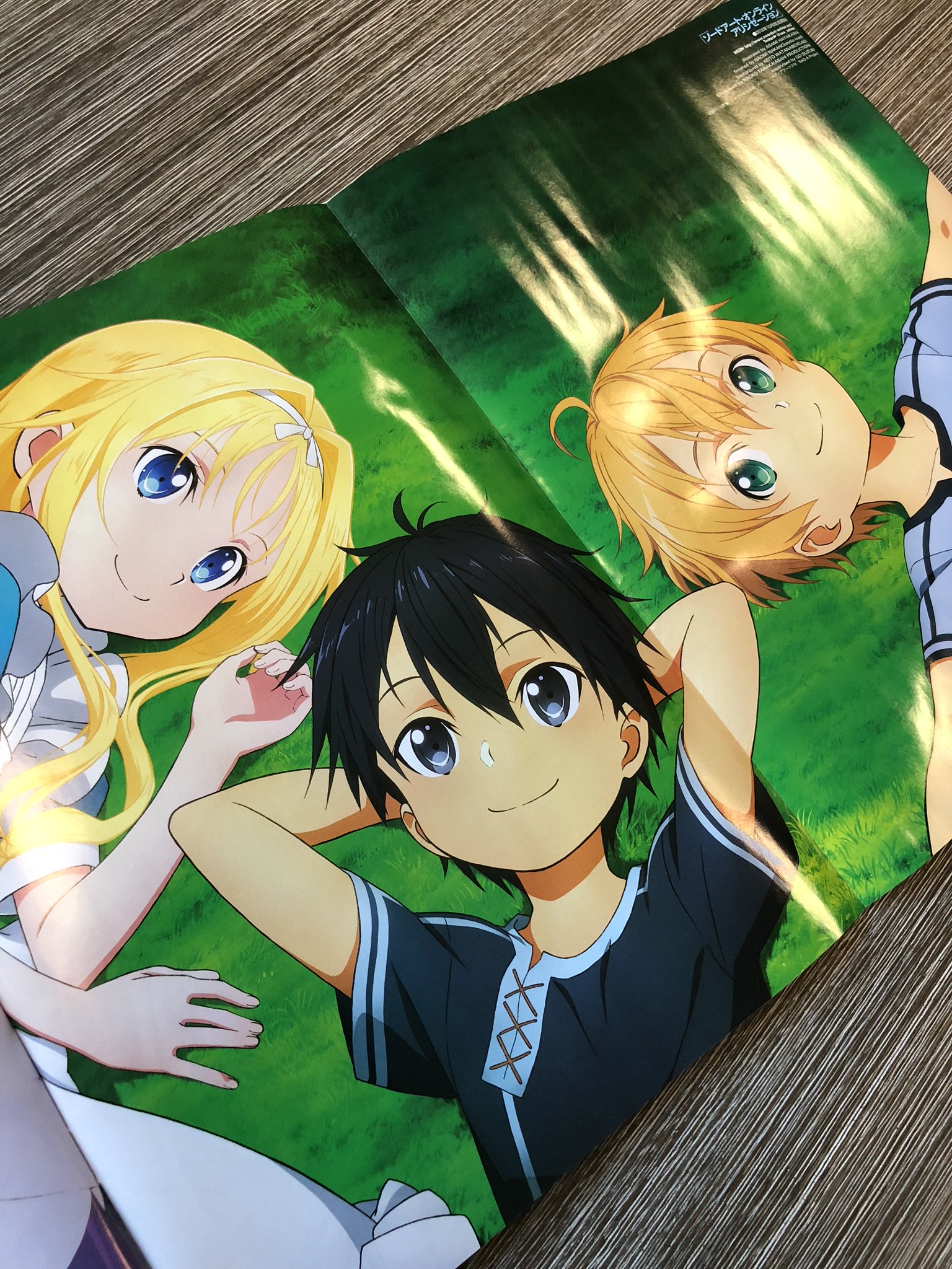 Sword Art Online on Twitter "The May issue of Newtype included a foldout poster for Sword Art