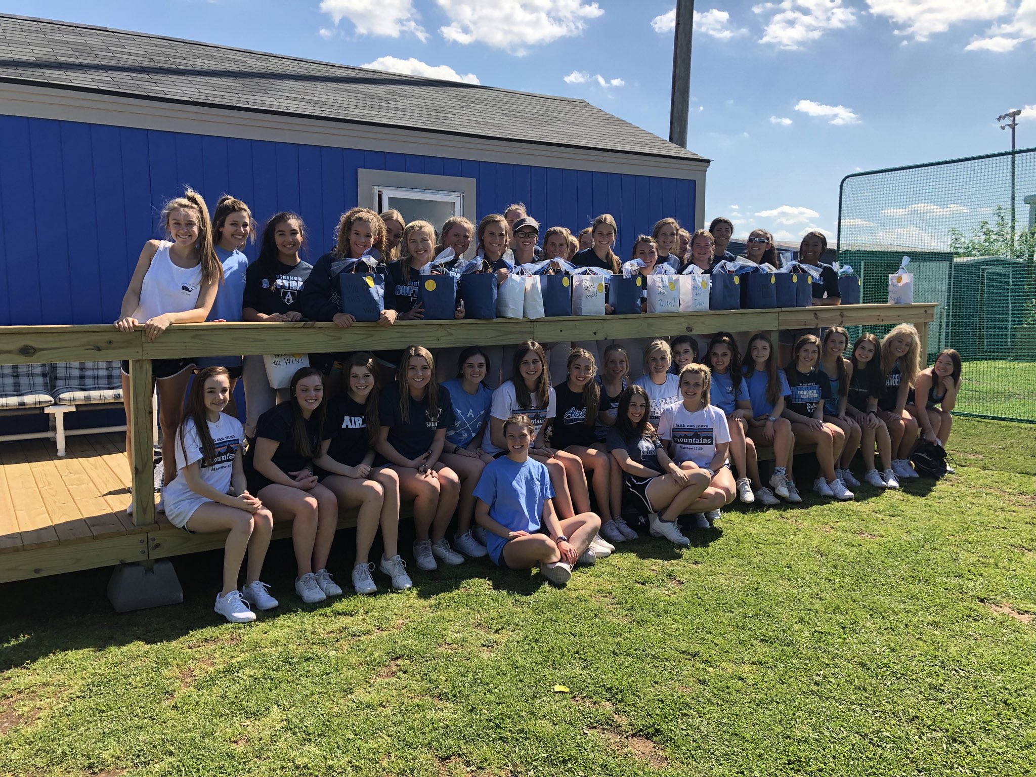 Blue Angels Softball Logo