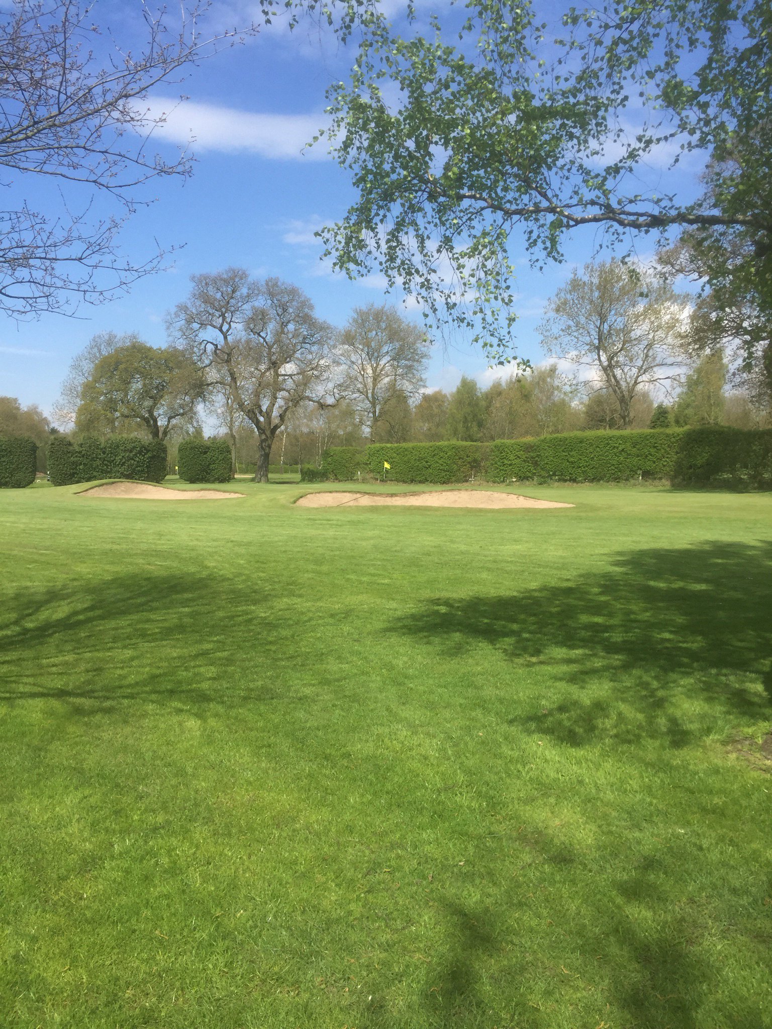 Forest Park Golf Club on Twitter "What a beautiful day for a game of