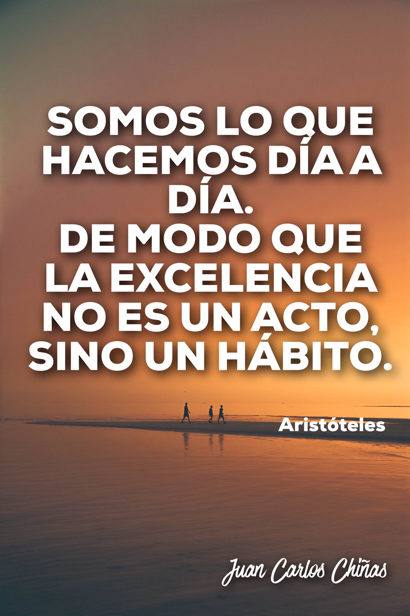 Juan Carlos Chiñas on Twitter "Somos lo que hacemos día a día frases