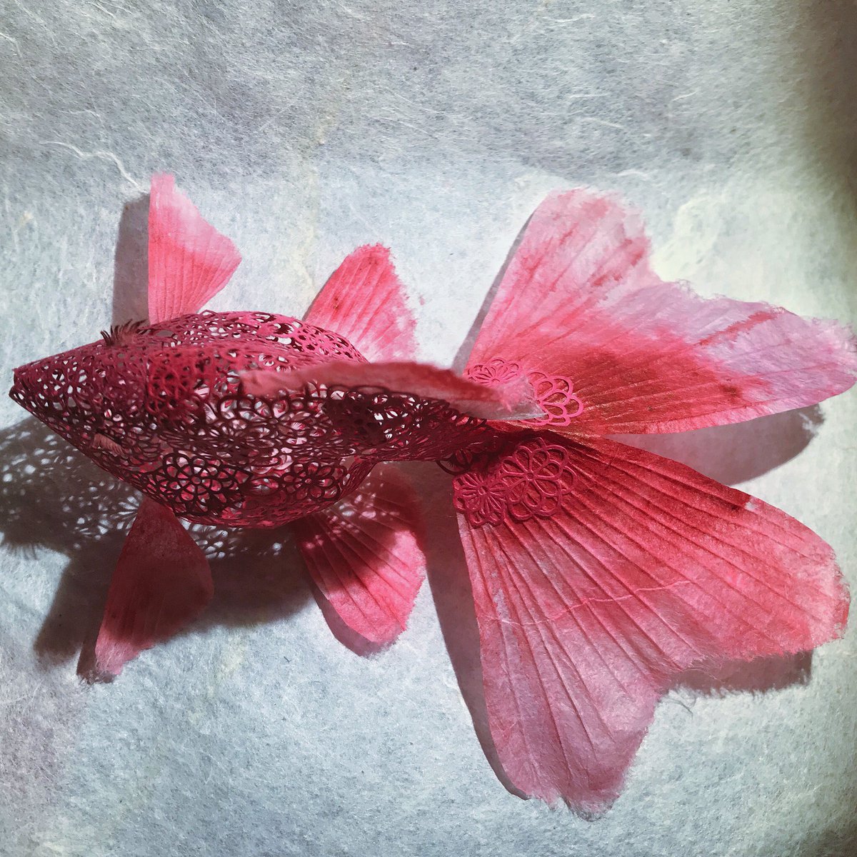 【35++】 金魚 切り 絵 型紙 無料の印刷可能なイラスト画像